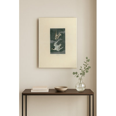 Lesser Tern (Plate 319) — Portrait Metal Wall Art