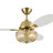42"W Braxton LED Indoor Clear And Gold Glass Ceiling Fan With Oak/White Blades and Remote Control
