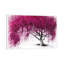 Pink Plum Park by Ashvin Harrison - Print on Canvas-51578527-51578522