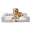 Lit pour chien avec housse amovible en velours et en lin PV avec accoudoirs en forme de C et base antidérapante-613750925-613750923