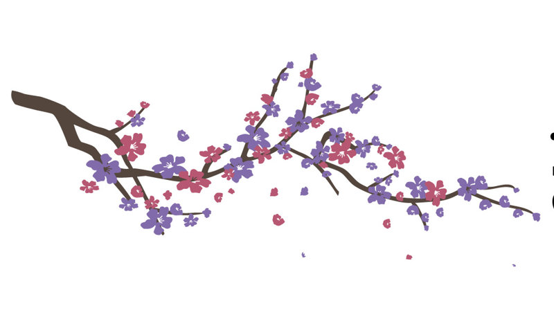 Adhésif décoratif cerisier en fleurs, Brun / Rose / Mauve, 24" H x 60" lx 0.01" d
