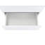 Brylynn Back To Wall Toilet Unit