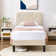 Auxter Adjustable Upholstered Head Height Bed Frame