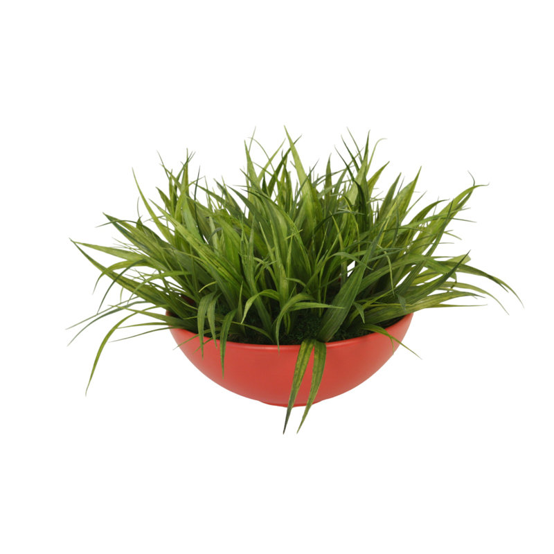 Grass In Red - Orange Bowl