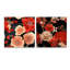 Elyna - Japon - ensemble de 2 verres muraux en acrylique-103931872