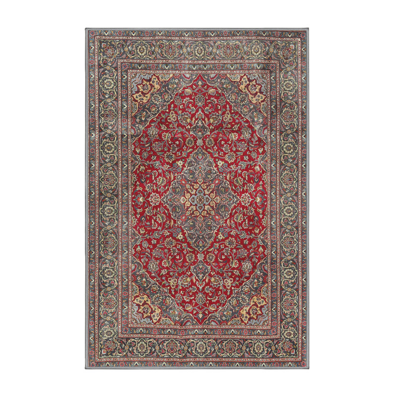 Oriental Indoor Rug, Rectangle 6' x 9'