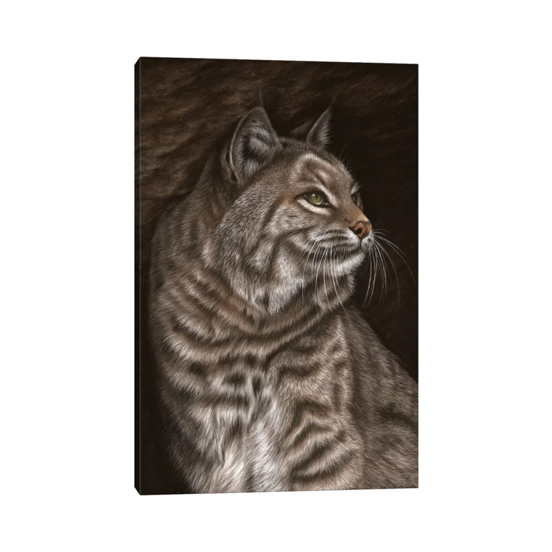 Bobcat 1 Piece Wrapped Canvas Painting, 20.32 cm H x 30.48 cm W