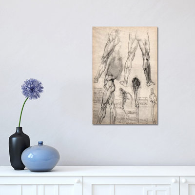 Sketchbook Studies of Human Legs by Leonardo Da Vinci - 1 Piece Wrapped Canvas Wall Art