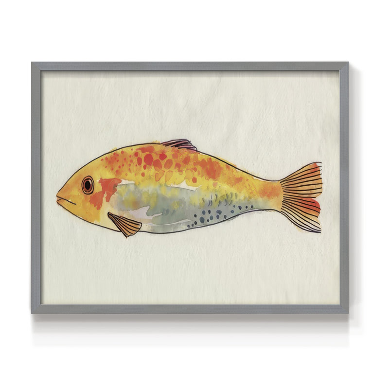 Fanciful Fish II -Framed Print - Restickable, Gris, H 22 po x l 28 po