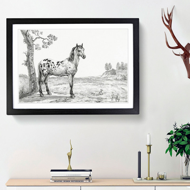 Mottled Horse by Jean Bernard - Picture Frame Drawing Print, Black Framed, 36cm H x 48cm W x 2cm D