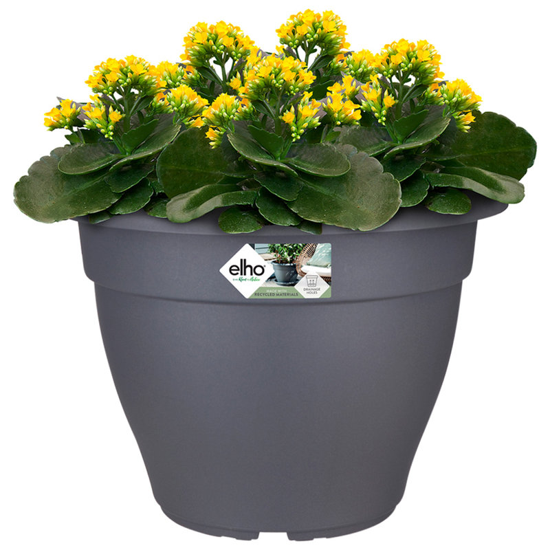 Pot Planter, 29cm H x 22cm W x 22cm D
