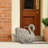 Jina Large Planter With Swan Sculpted Details, Gray Terracotta-109660891