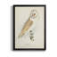 Toile encadrée de qualité supérieure Barn Owl - prête à être accrochée-1084533000-1084533001