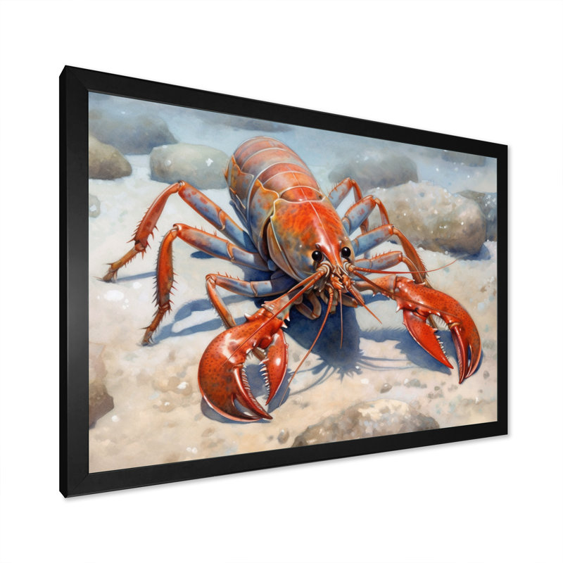 " Freshwater Crayfish II ", Black Picture Framed, 30" H x 40" W