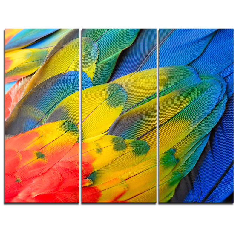 Scarlet Macaw Feathers Photography Canvas Art Print - 3 Panels