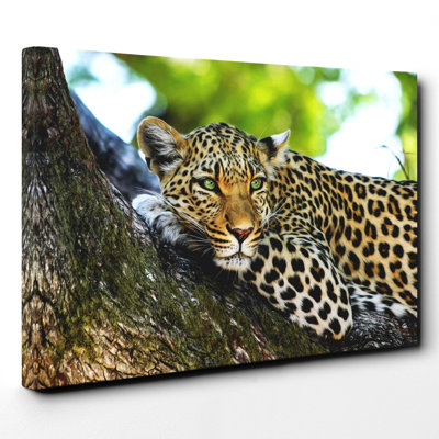 Leopard - Wall Art