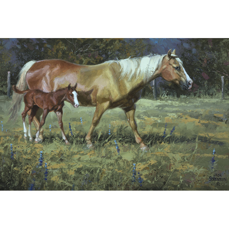 Field Of Dreams by Jack Sorenson - Wrapped Canvas Painting, 30cm H x 46cm W