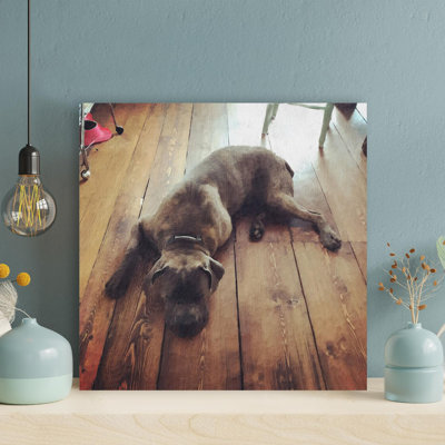 " Brown Pitbull " Painting Print