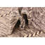 Tapis brun Julian