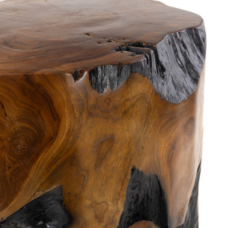 Atharv Brown Teak Wood Handmade Live Edge Stump Accent Table with Charred Detailing 14" x 14" x 18"