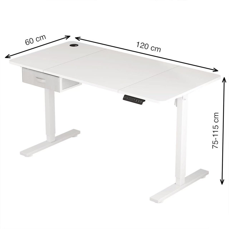 Alstead Adjustable Standing Desk, 120cm W x 60cm D, White, White