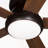 Vox 52'' Ceiling Fan with LED Lights-26210083