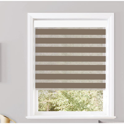 Robbe Semi Sheer Roller Shade
