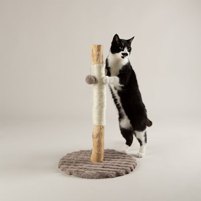 Scruffs Rockies Cat Scratching Tree