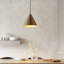 Capello Cali 1lt Pendant light
