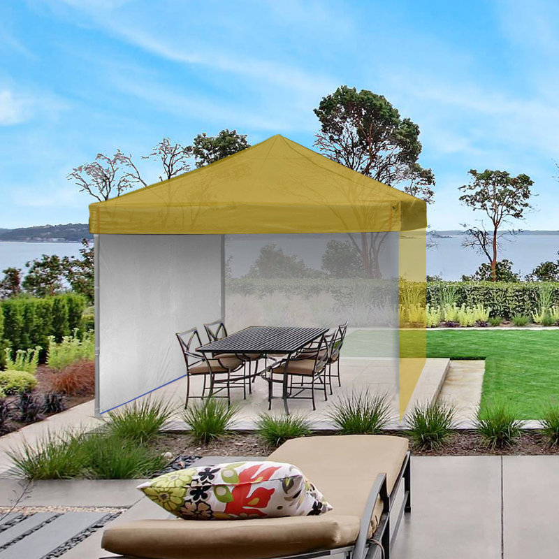 Paroi latérale, Jaune