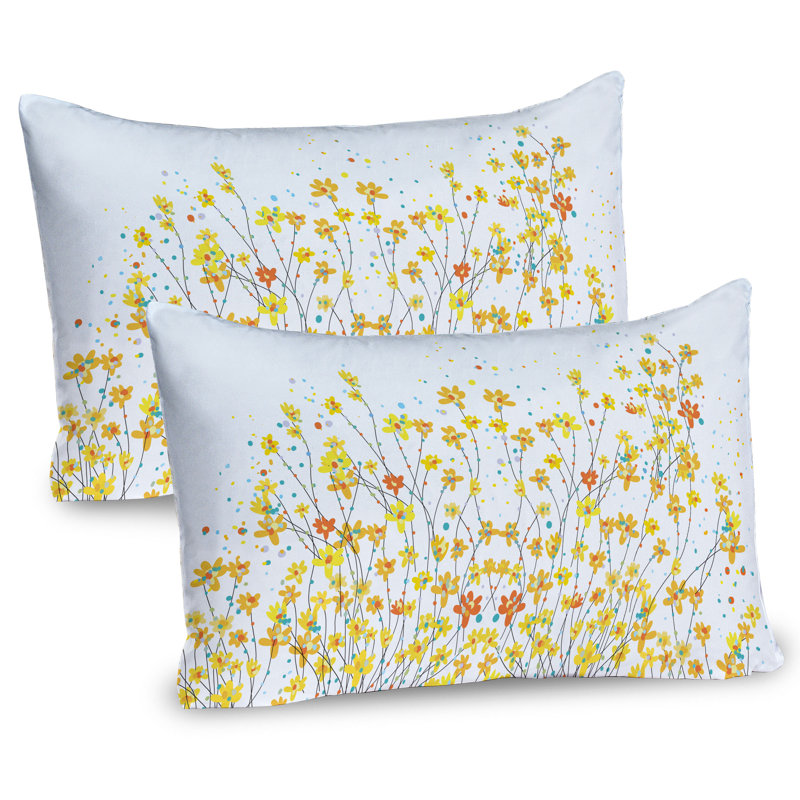 Ensemble de 2 taies décoratives Ambesonne, H 20 po x l 36 po