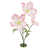 Light Pink sélectionné