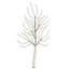 Holiday Lighting-869234355-869234357