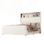 Structure de lit double capitonnée en velours-1642772334