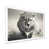 White Picture Framed