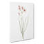 Amaryllis Flowers - Wrapped Canvas Painting-55368802