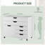 77 cm W 5 -Drawer - Drawer Wheels / Casters included Mobile Filing Cabinet