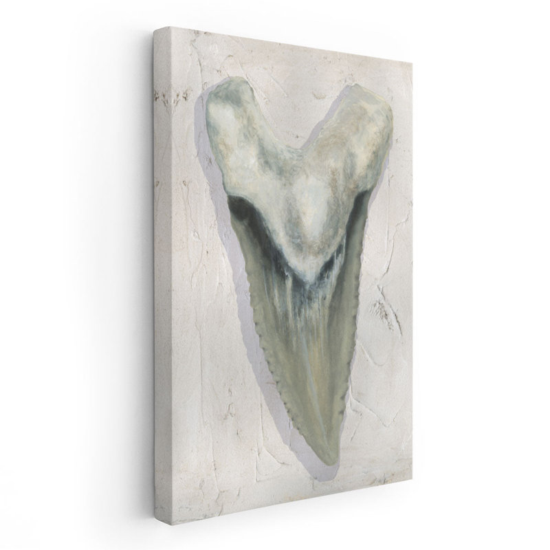 «Watercolor Sharks Tooth II», reproduction d'art sur toile, H 18 po x l 12 po