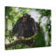 No Frame Print on Canvas-1353235985