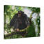 No Frame Print on Canvas-2089877130