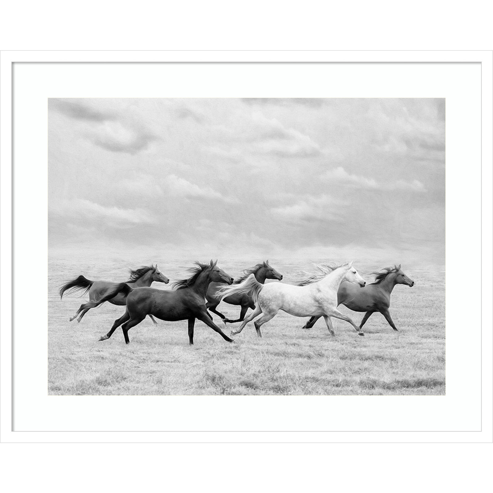 Horse Run I by PHBurchett, 27" H x 33" W, White