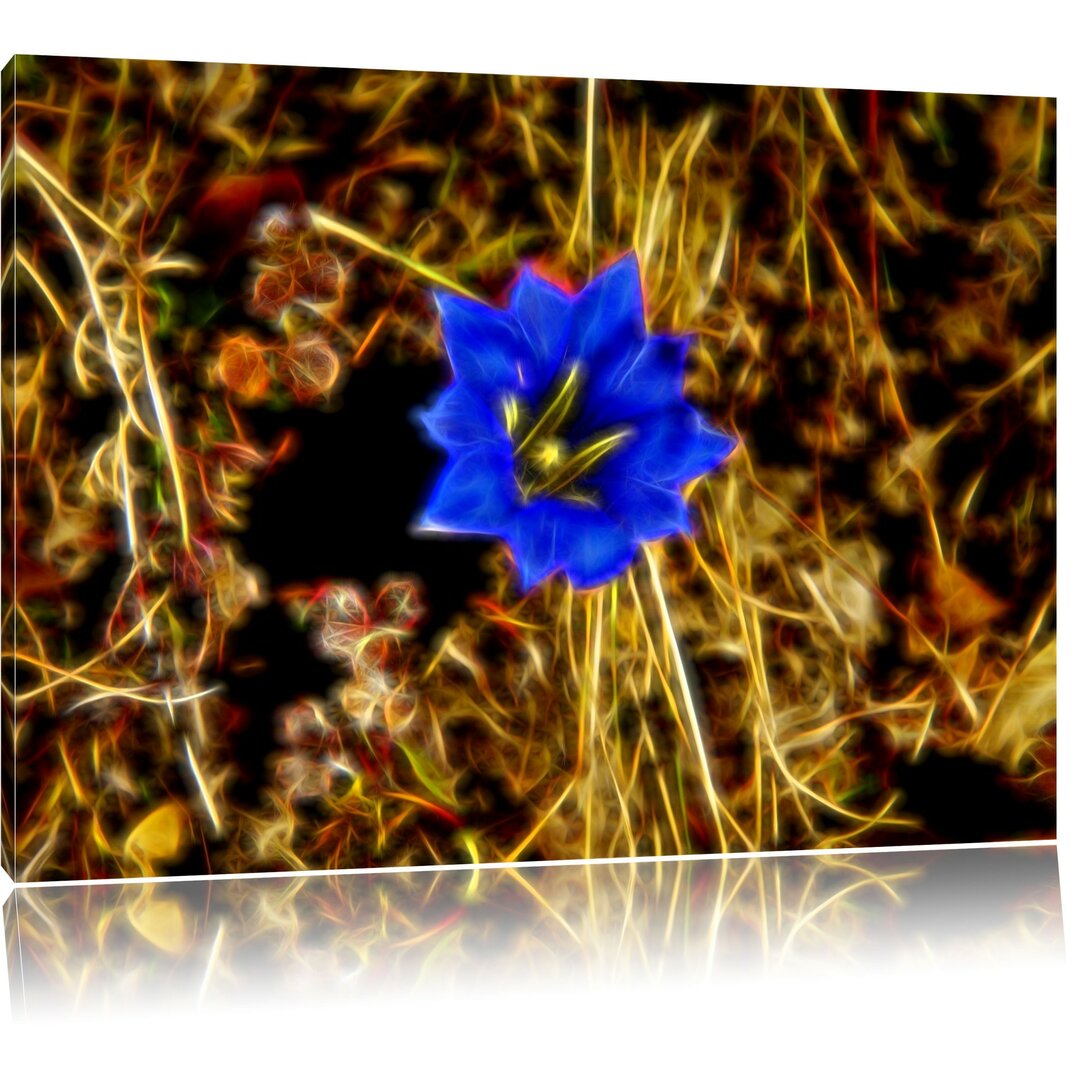 Leinwandbild Schöne blaue Blüte