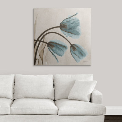 "Manigault" Tulip X-Ray par Kiranjit, reproduction de photo