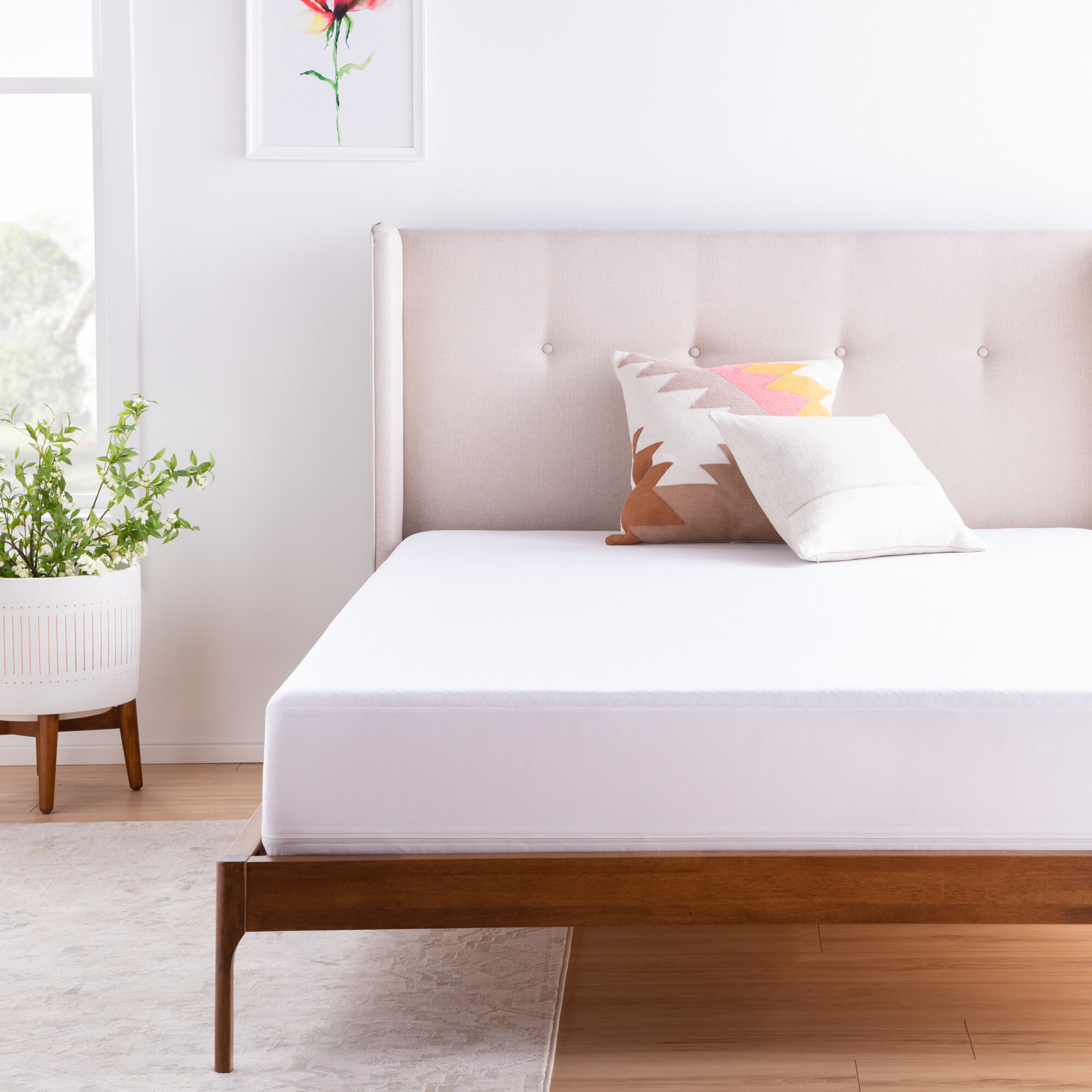 Wayfair  Twin Mattress Covers & Protectors You'll Love in 2023