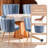 Modern Lotus Backrest Fabric Upholstered Dining Chair (Set of 2)-941772786