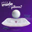 Cavalli L70 x W30cm Support Pillow
