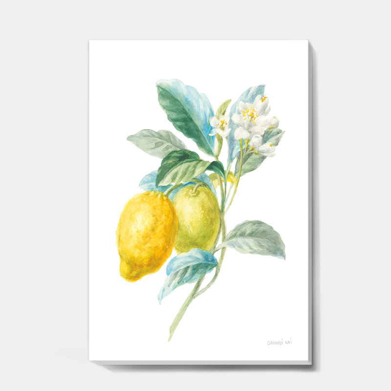 «Floursack Lemon II», reproduction d'art sur toile tendue, H 32 po x l 16 po x P 1 po