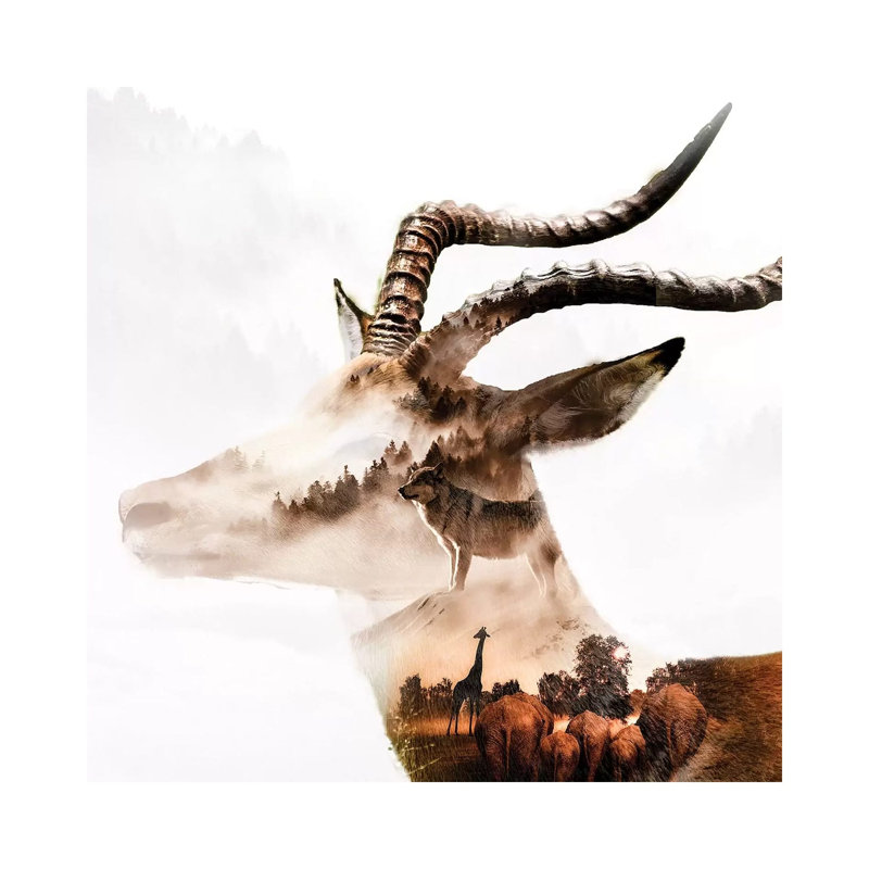 Gazelle by Paul Haag - Print on Canvas, Wrapped Canvas, 45.72 cm H x 45.72 cm W x 1.91 cm D