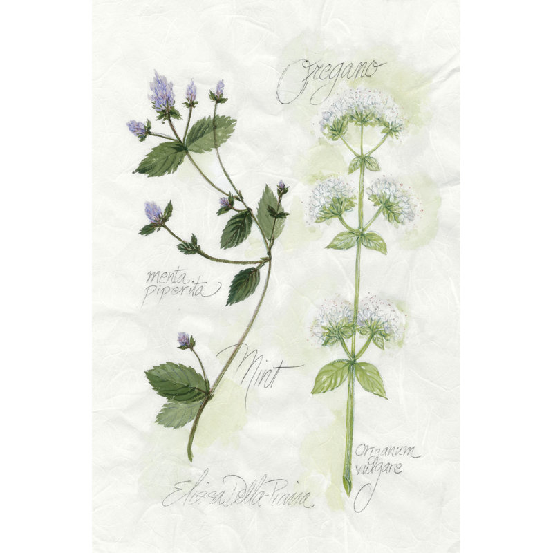 Origan et menthe, H 18 po x l 12 po x P 1,25 po