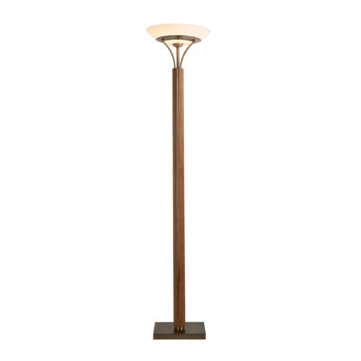 Tambo 72" Dimmable Floor Lamp
